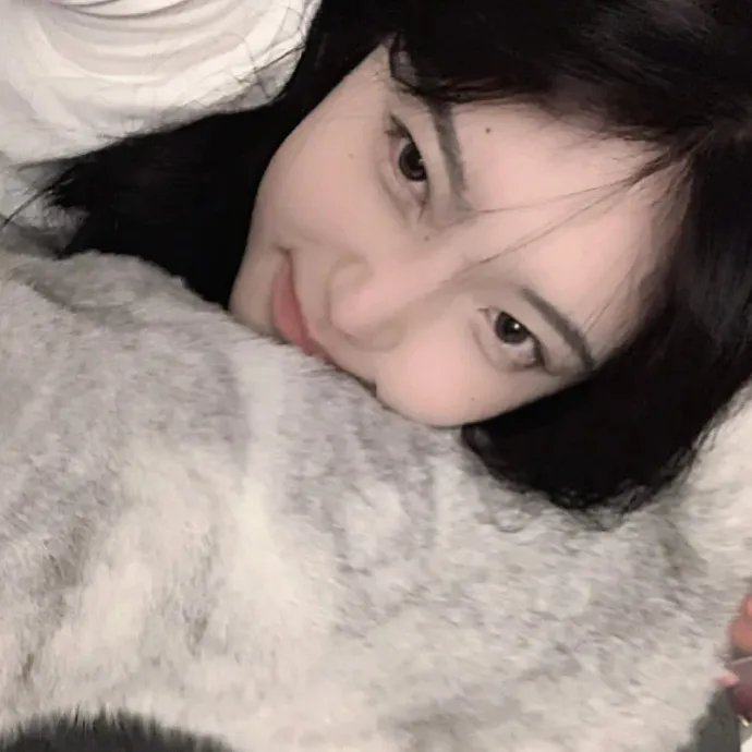猫贼
